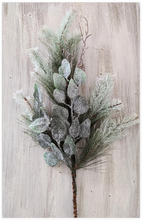 Load image into Gallery viewer, Winter Mix Pine Spray
